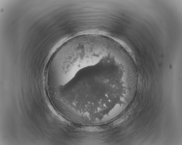 X0000085040998200703191228