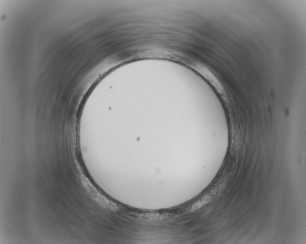 X0000085041000200703191228