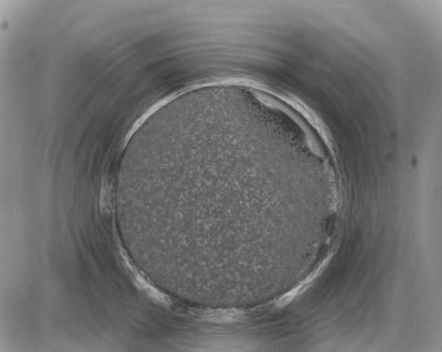 X0000085041001200703191228