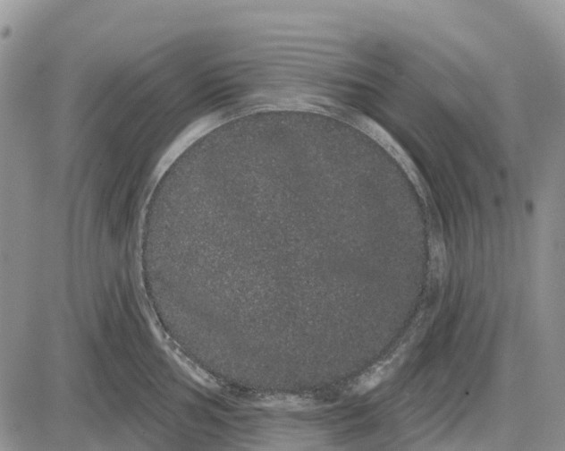 X0000085041002200703191228