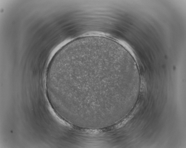 X0000085041003200703191228