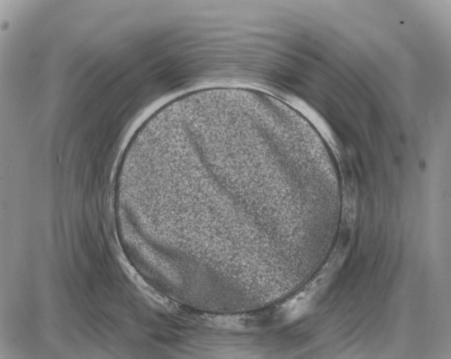 X0000085041004200703191228