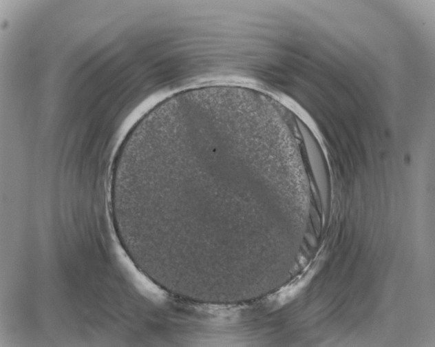 X0000085041005200703191228