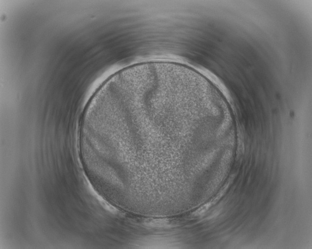 X0000085041006200703191228