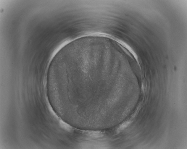 X0000085041007200703191228