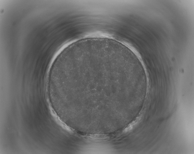 X0000085041008200703191228