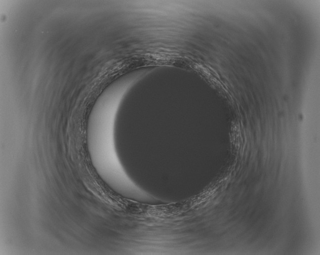 X0000085041009200703191227