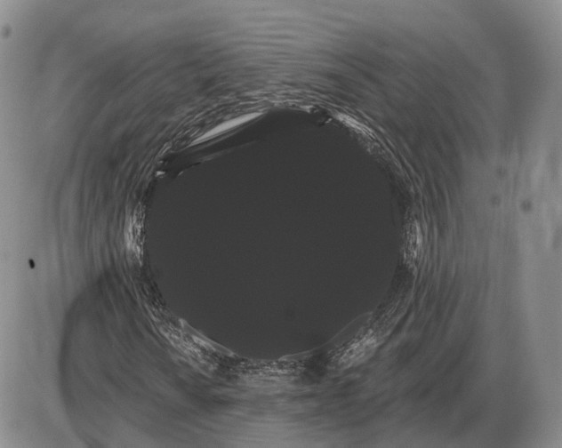 X0000085041010200703191227