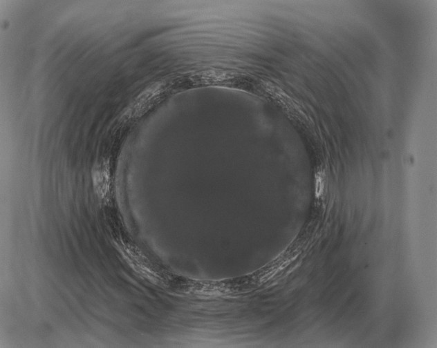 X0000085041011200703191227