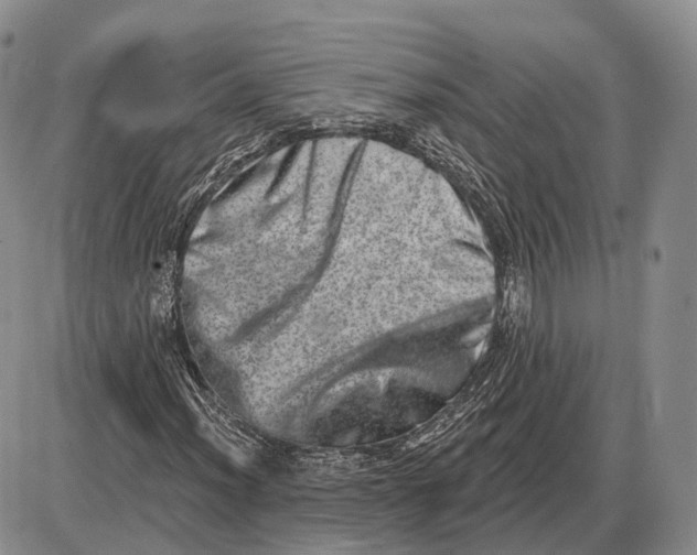 X0000085041012200703191227