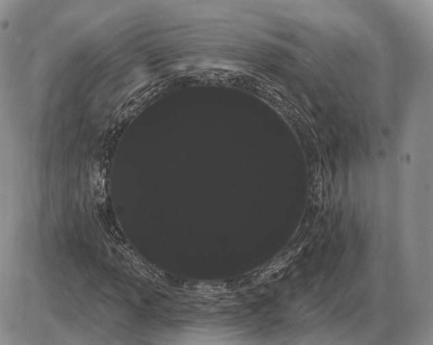 X0000085041013200703191227