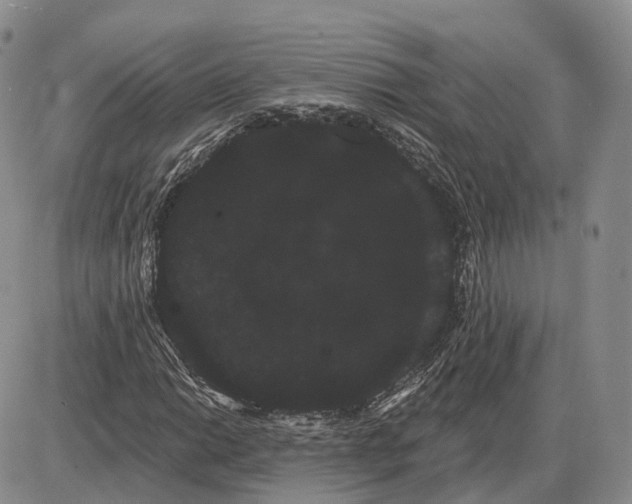 X0000085041014200703191227