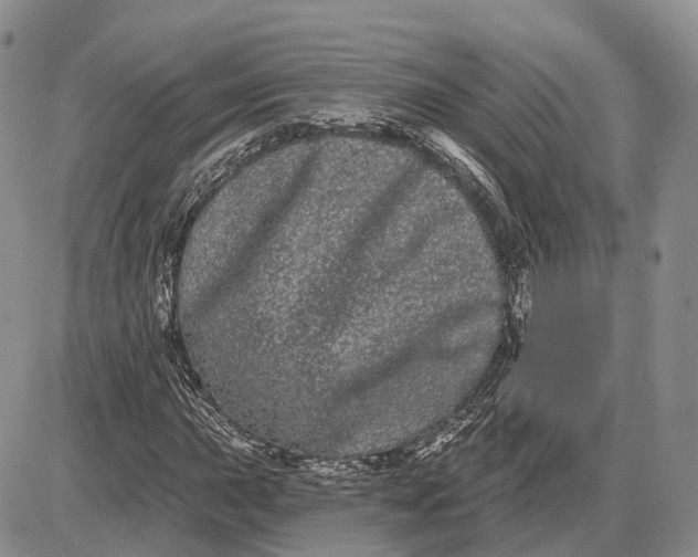 X0000085041015200703191227