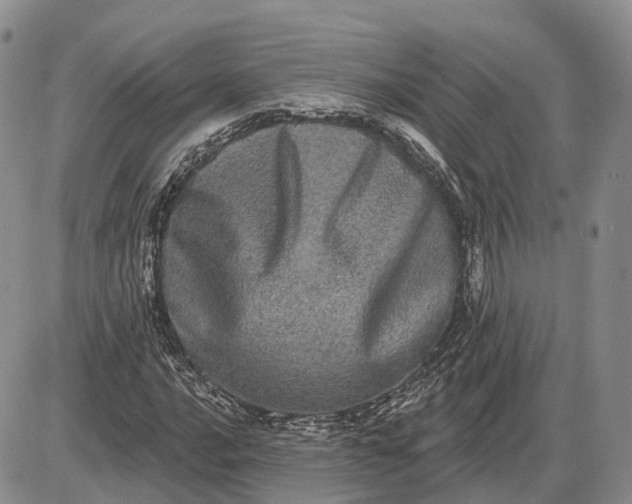 X0000085041016200703191227