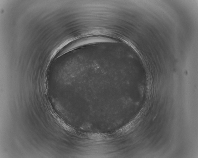 X0000085041018200703191227