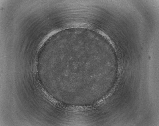 X0000085041019200703191227