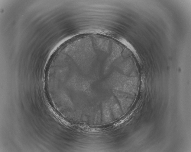 X0000085041020200703191227