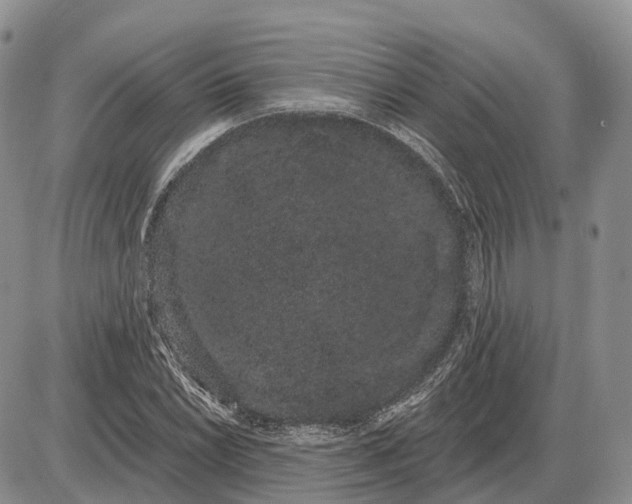 X0000085041022200703191227