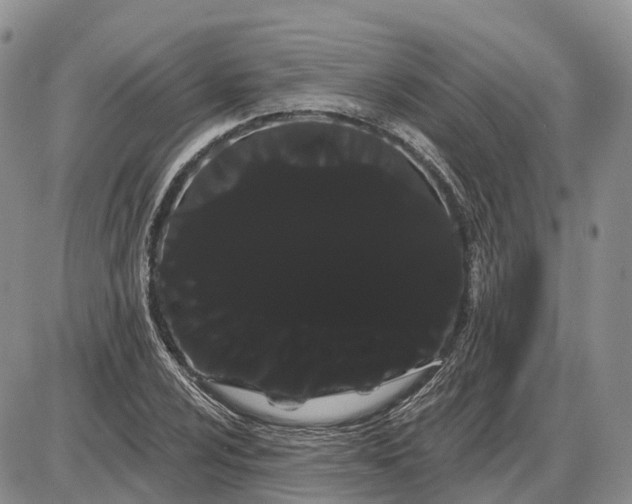 X0000085041024200703191227