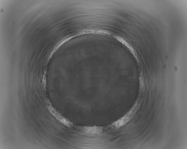 X0000085041025200703191228