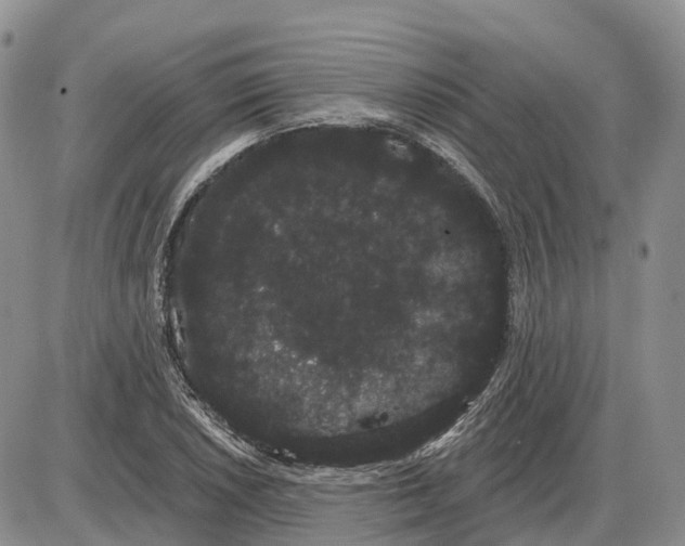 X0000085041026200703191228