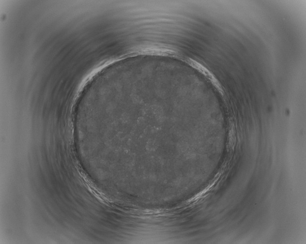 X0000085041027200703191228