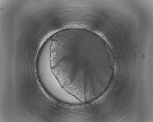 X0000085041030200703191228