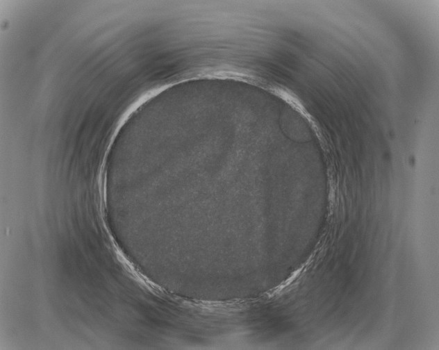 X0000085041032200703191228