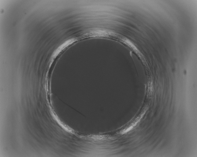 X0000085041034200703191228