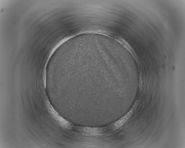 X0000085041036200703191228