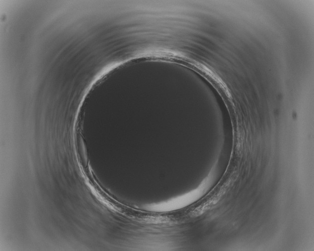 X0000085041037200703191228