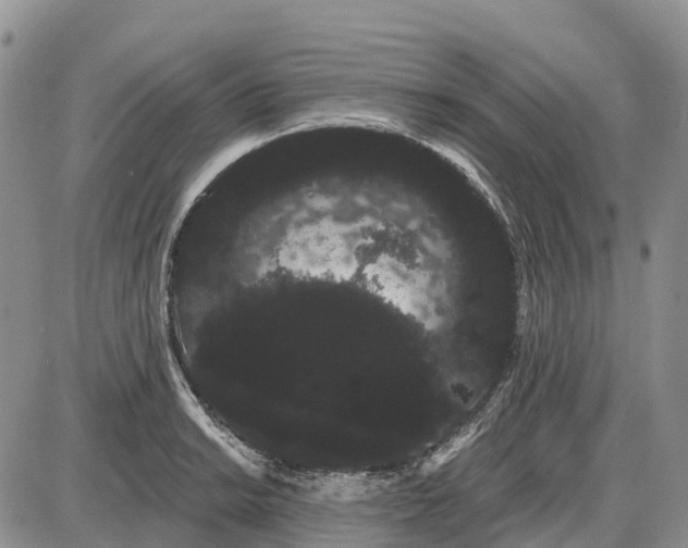 X0000085041038200703191228