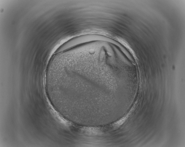 X0000085041040200703191228