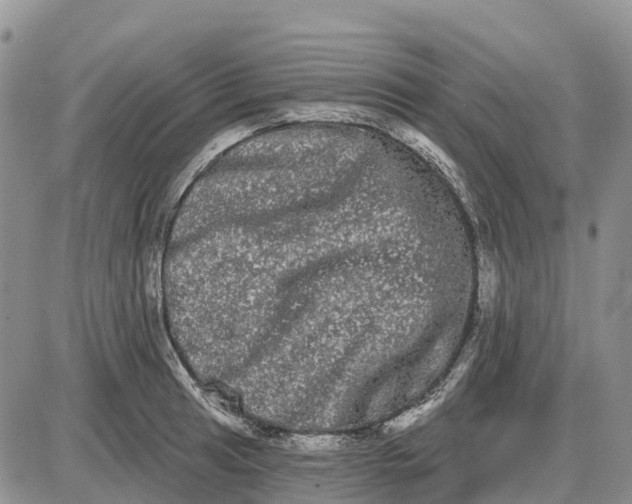 X0000085041041200703191228