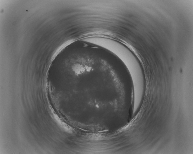 X0000085041042200703191228