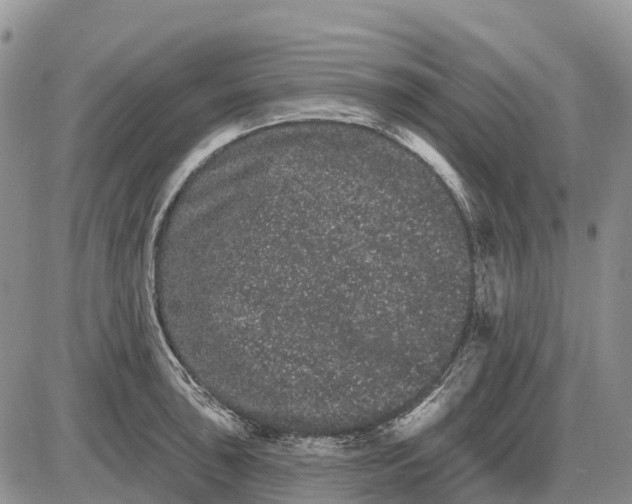 X0000085041043200703191228