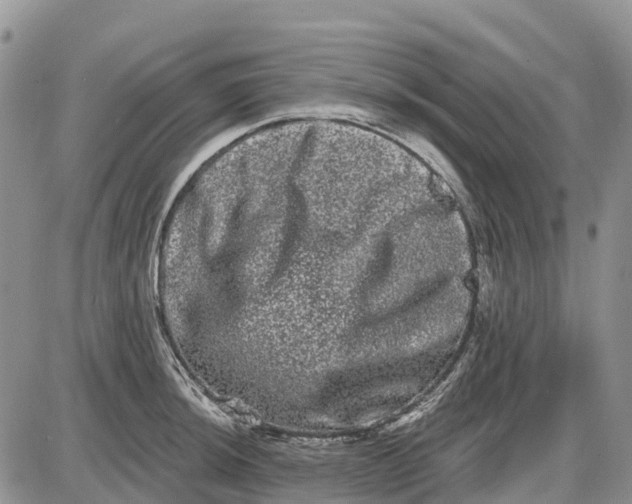 X0000085041044200703191228