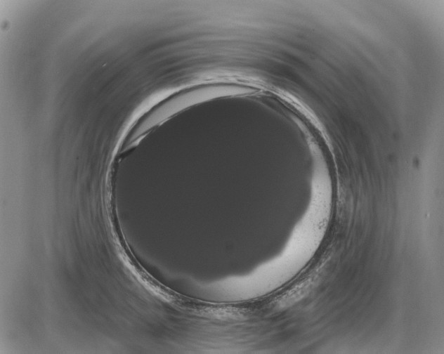 X0000085041045200703191228