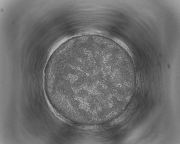 X0000085041047200703191228