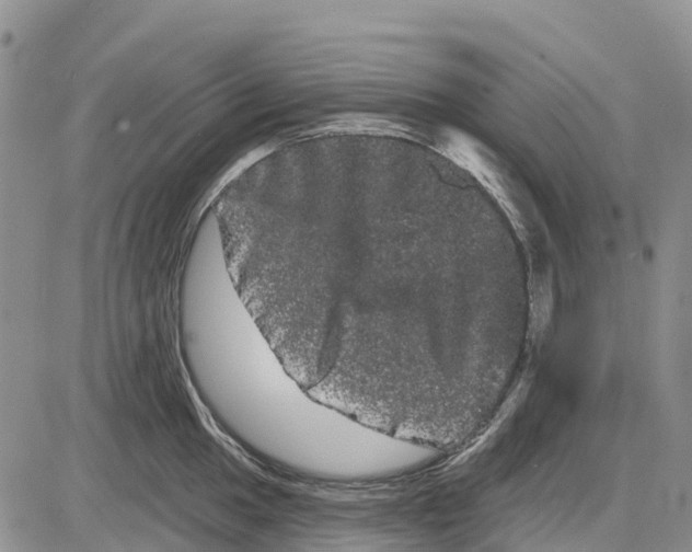 X0000085041049200703191228