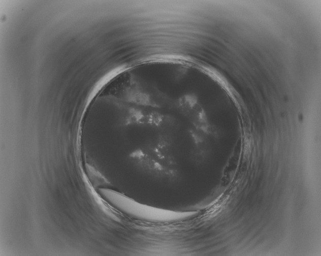 X0000085041050200703191228