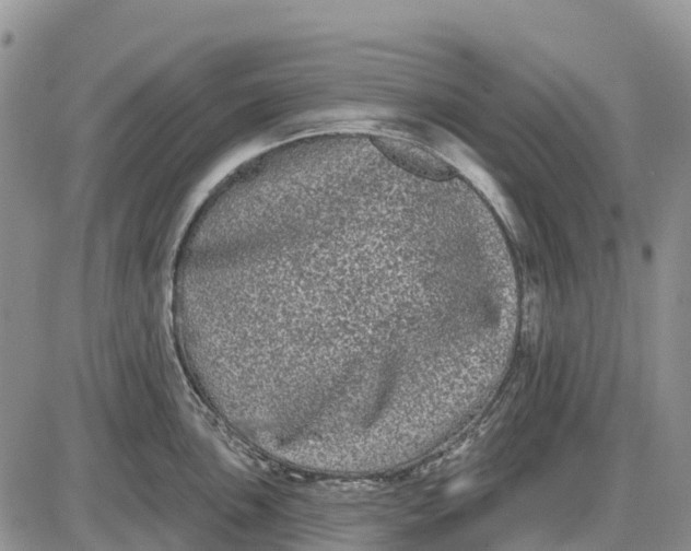 X0000085041051200703191228