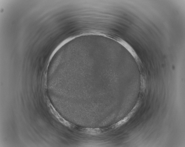 X0000085041052200703191228