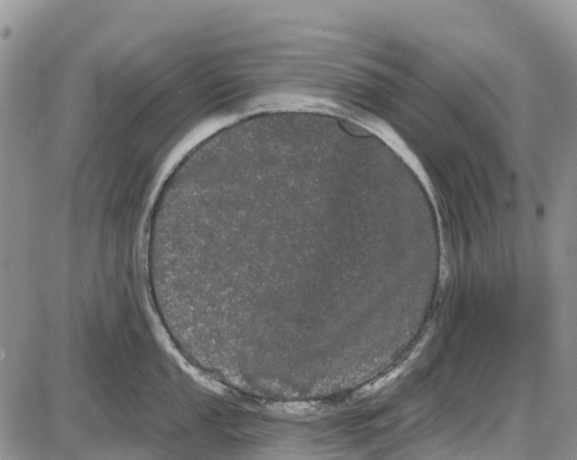 X0000085041053200703191228