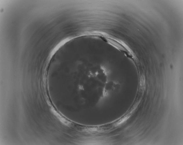 X0000085041054200703191228