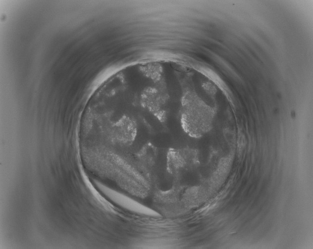 X0000085041055200703191228