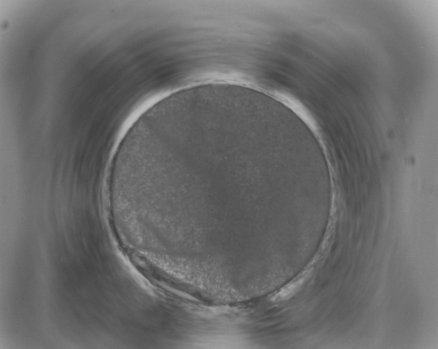 X0000085041056200703191228