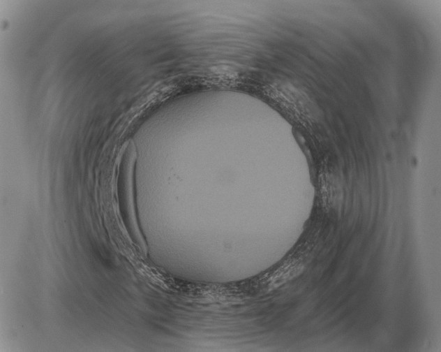 X0000085041057200703191227