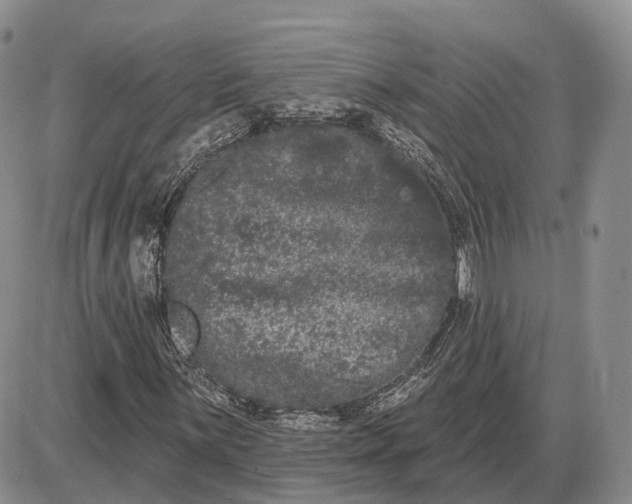 X0000085041059200703191227