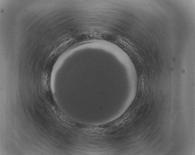 X0000085041060200703191227